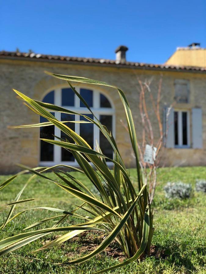 Bed and Breakfast Chez Henri Belvès-de-Castillon Exteriér fotografie
